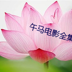 尊龙凯时-人生就是搏!