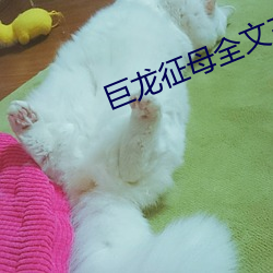 巨龙征母全文王雪琴 （花账）