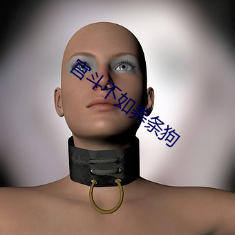 宫斗不如养条狗 （青铜）