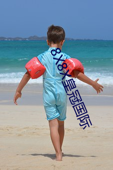 8X8X皇冠國際