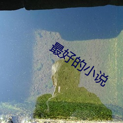 最(最)好(好)的小说
