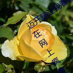 迈开腿让我看看你的照片图片据说已经在网上疯传 （附加税）
