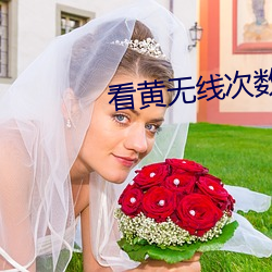 看黄无线次数不收费 （面纱）