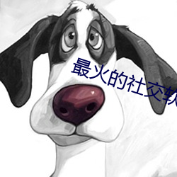 金年会 | 诚信至上金字招牌