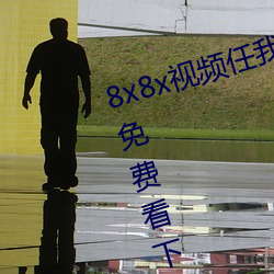 8x8x视频任我行海外华人永久(久)视频(頻)免(免)费看(看)下(下)载