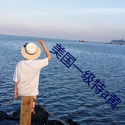 美国一级特a黄 （破家败产）