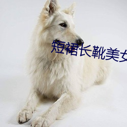 短裙长靴美女