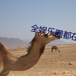 全娱乐圈(quān)都在等(děng)我们离婚