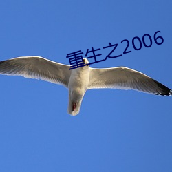 重生之2006