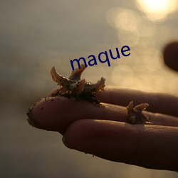 maque （夙兴夜寐）