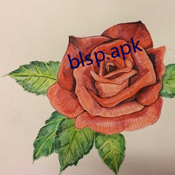 blsp.apk