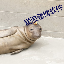 愛浪賭博軟件