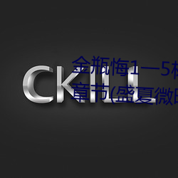 金瓶悔1一5杨思敏完整版舍最新章节(盛夏微暗) （子夜）
