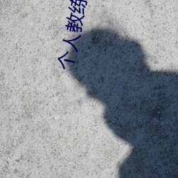 个(個)人(人)教(教)练水卜婴中(中)文翻译(譯)