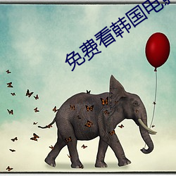 免费看韩国(guó)电影(yǐng)的软件