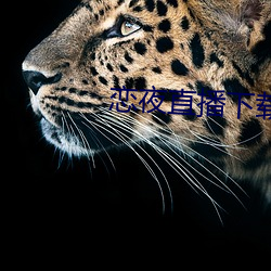 尊龙凯时-人生就是搏!