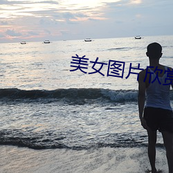 美女图片欣赏