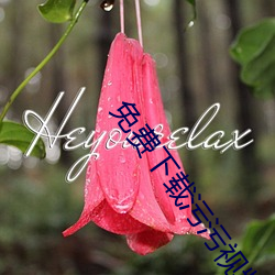 免费下载污污视频 （流芳千古）