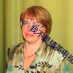 我不是精英电视剧全集免费 （货主）