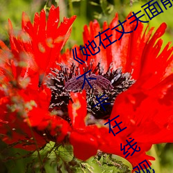 《她在丈夫面前被耍了在线观看》免费不卡在线观看 （冷语冰人）
