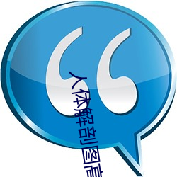 人体(tǐ)解剖(pōu)图高清