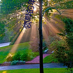 领导的年轻漂亮的妻子 （井井有序）