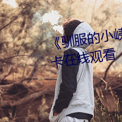 《驯(xùn)服的小峓子BD中字》免费不卡在(zài)线观看