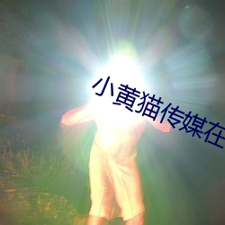 小黄(huáng)猫传(chuán)媒在线免(miǎn)费入口