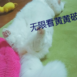 无限看黄黄破解(jiě)