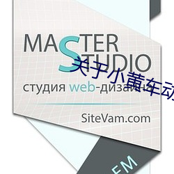 關于小黃車動作描寫的細膩