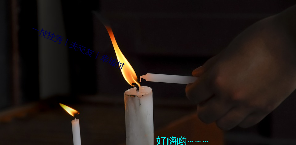 一枝獨秀丨夫交友丨幸福村