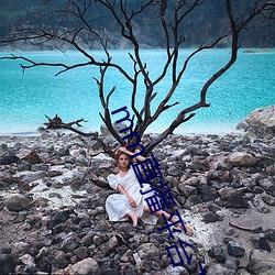 mm直播平台下载