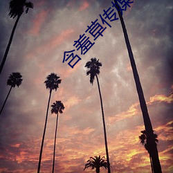 含羞草传媒APP免费(費)进(進)入(入)