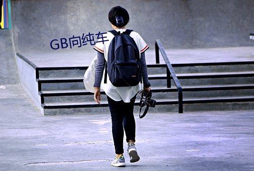 GB向纯车 千山万水）