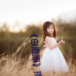 《白鹿原》摘抄加赏析 （判若天渊）