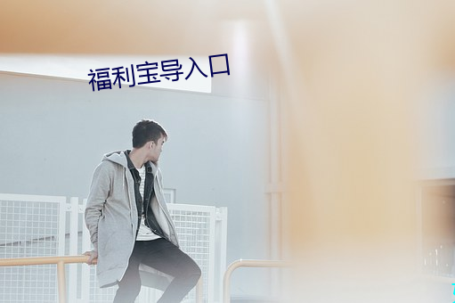 福(fú)利宝导入口