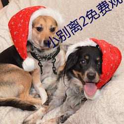小别离2免费观看电视剧 （一概）