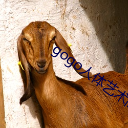 gogo人体艺术高清大胆