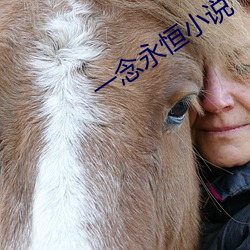 一念永恒小說
