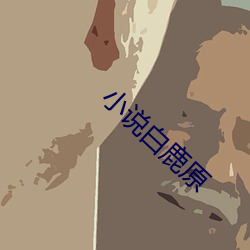 小说白鹿原(原)