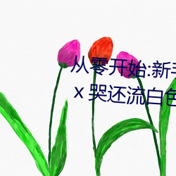 從零開始:新手玩家的伽羅太華被ⅹ哭還流白色東西圖入門指