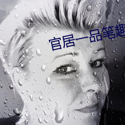 官居一品笔趣阁