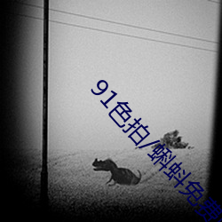 91色拍(拍)/蝌(蝌)蚪(蚪)免费(費)版