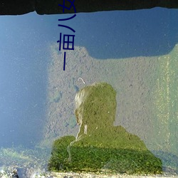 一亩八女(nǚ)共侍一夫