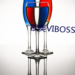 欧美VIBOSS