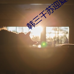 韩三千苏迎夏免费阅读(dú)全文最新章节