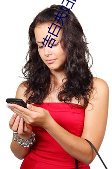 告白夫婦國語版電視劇免費