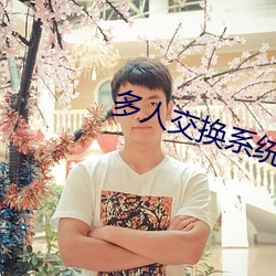 多人交换系统小说