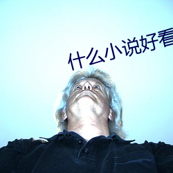 什么小说好看 （调值）