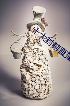 十大封(fēng)禁直播平(píng)台